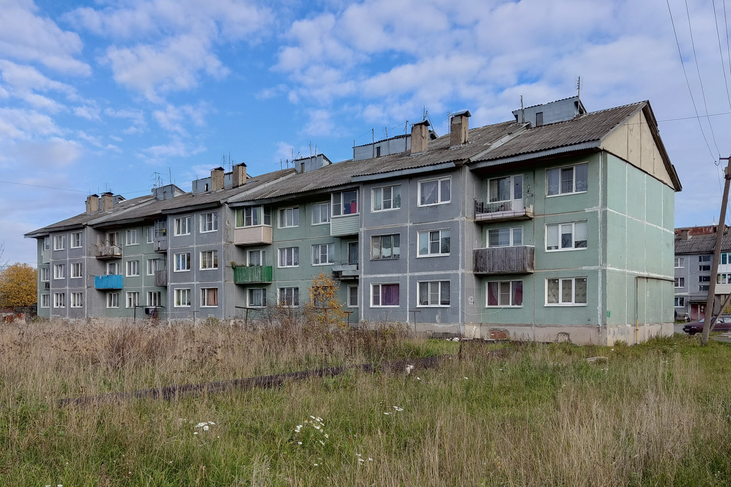 Гатчинский округ, прочие н. п., Жабино, Поселковая улица, 19