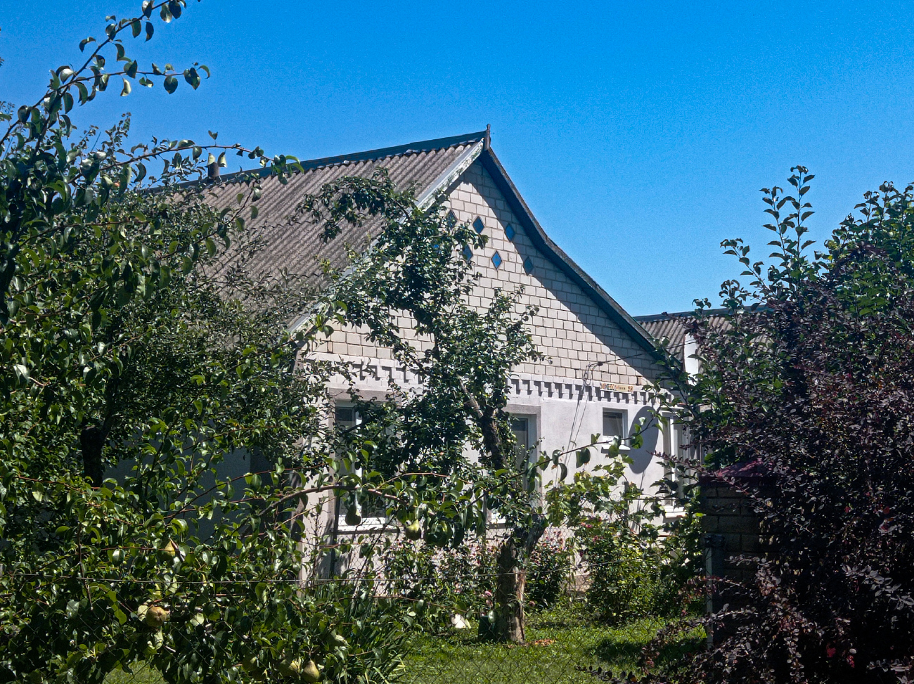 Петриковка, Улица Глинки, 28