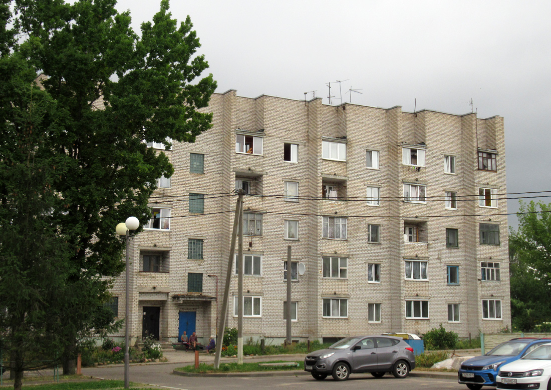 Минский район, прочие н. п., Петришки, улица Гагарина, *