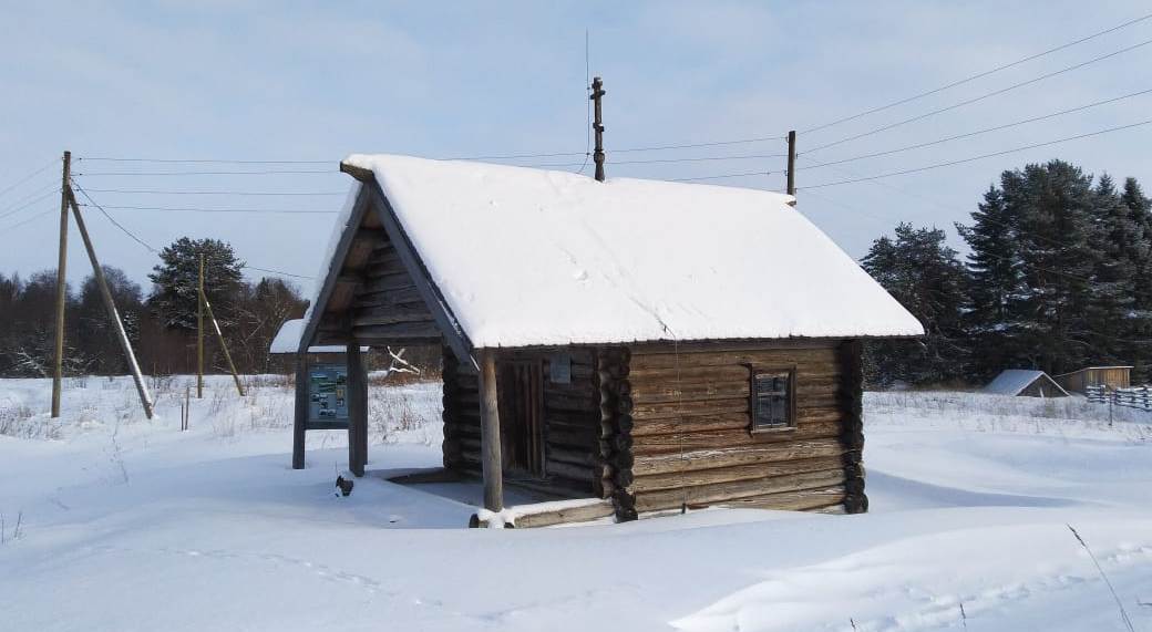 Plesetsk District, other localities, дер. Косицына, 1