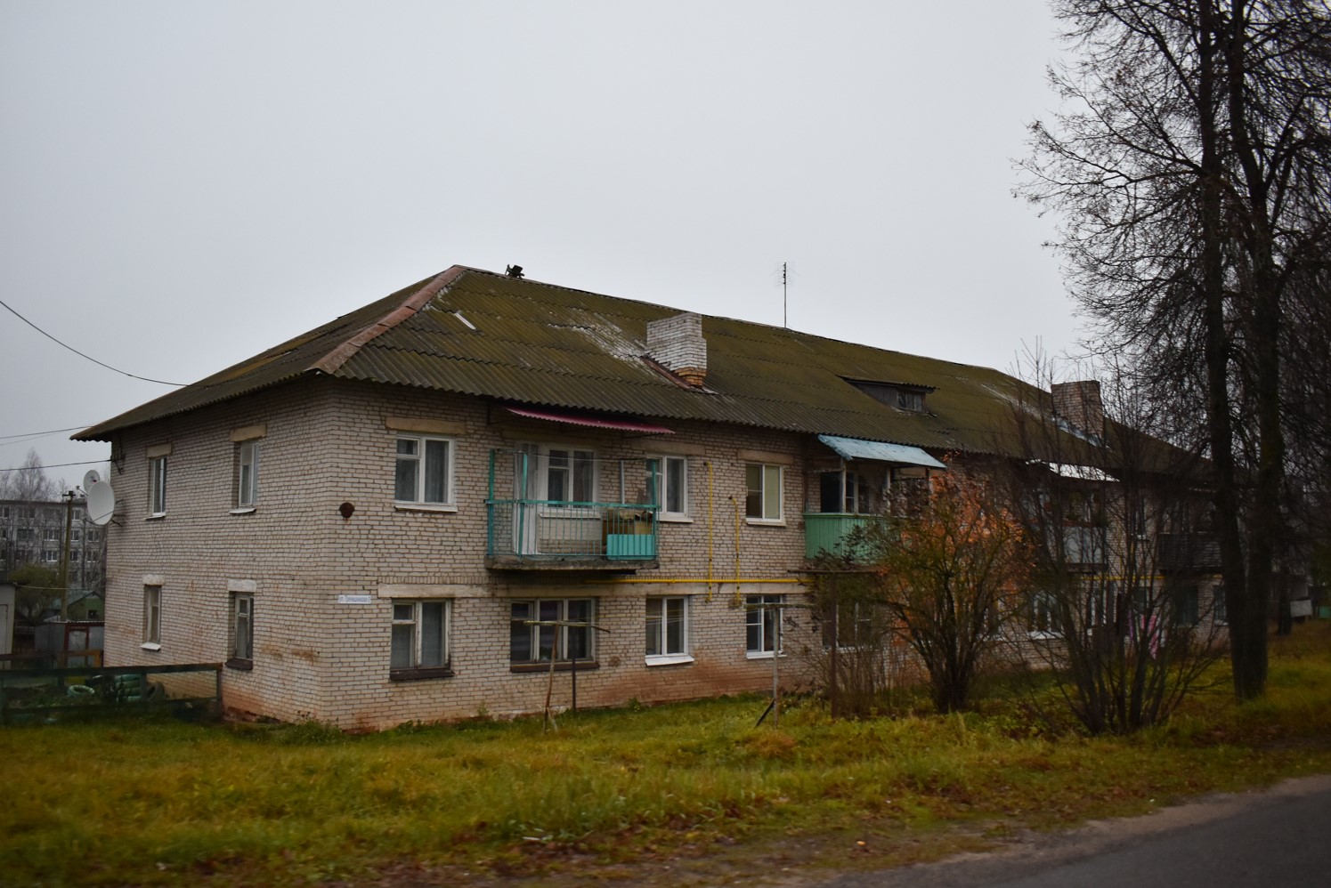 Чудовский район, прочие н.п., с. Грузино, Улица Гречишникова, 6