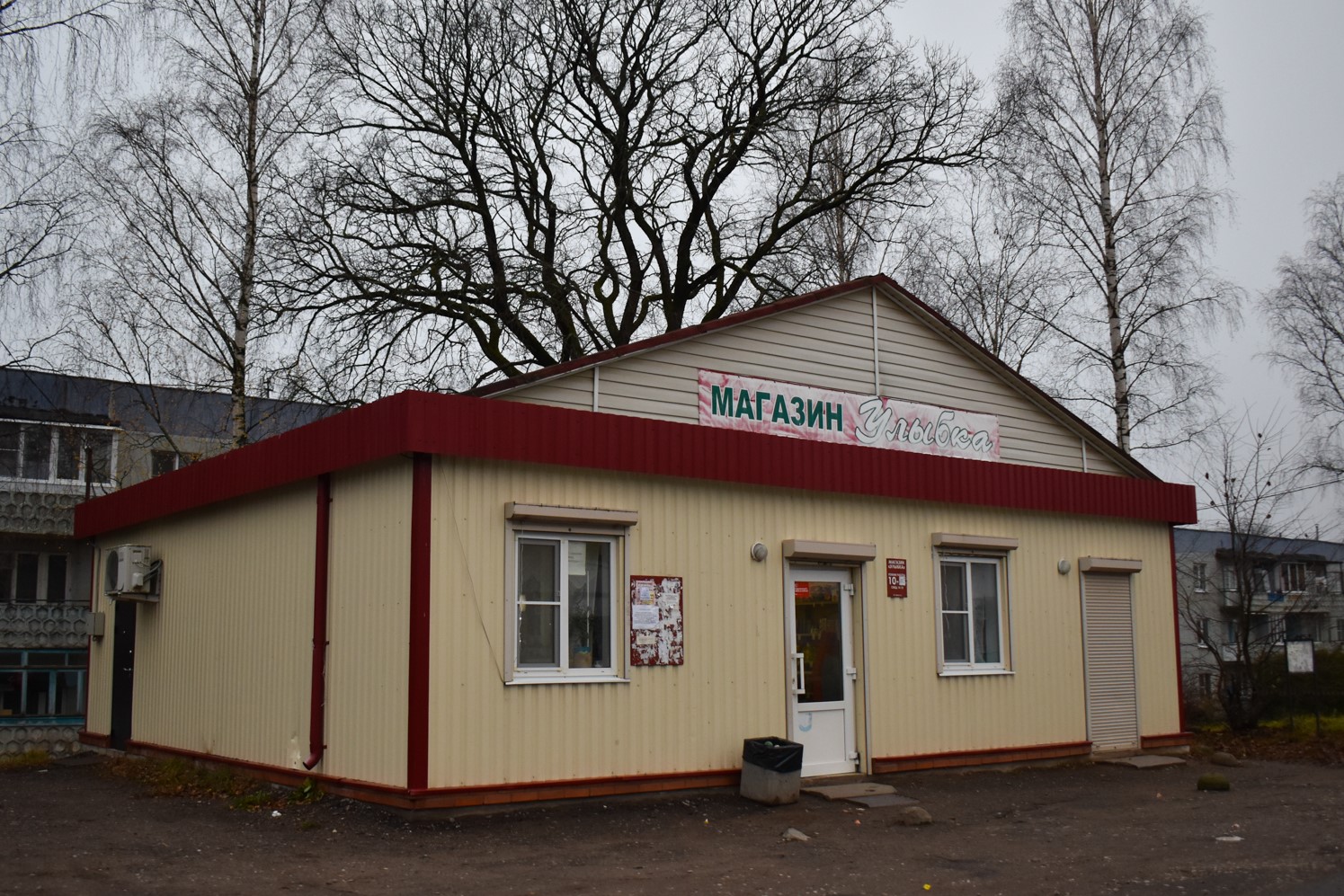 Чудовский район, прочие н.п., с. Грузино, Улица Гречишникова, 6A