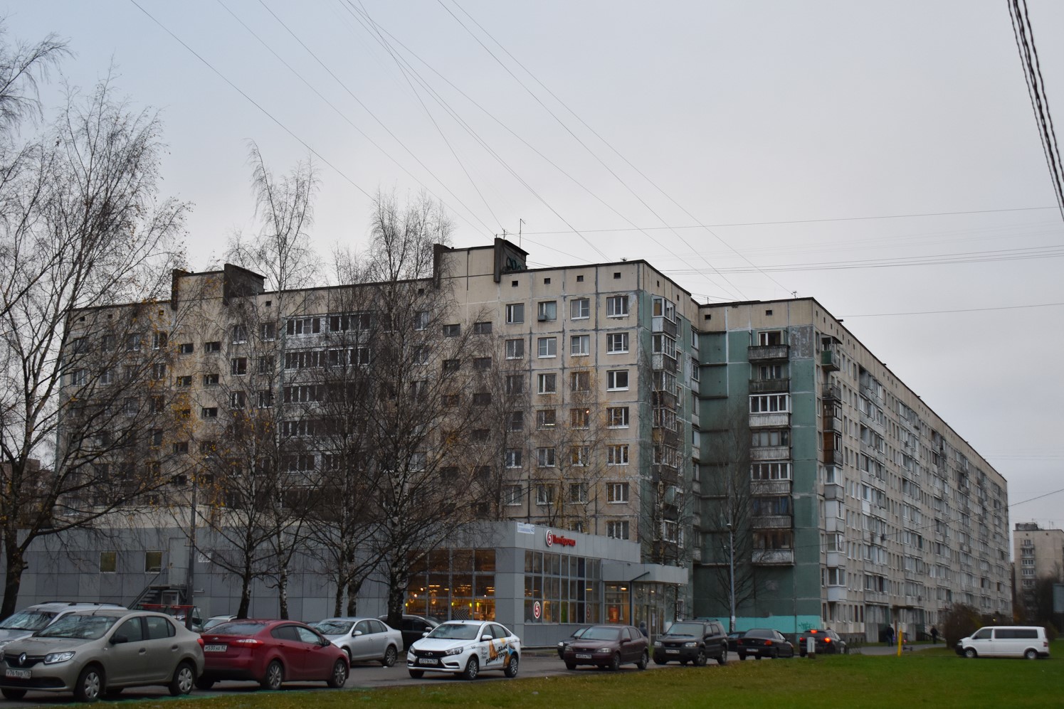 Санкт-Петербург, Проспект Художников, 43