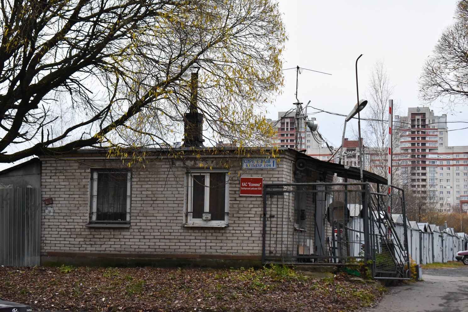 Санкт-Петербург, Сиреневый бульвар, 1