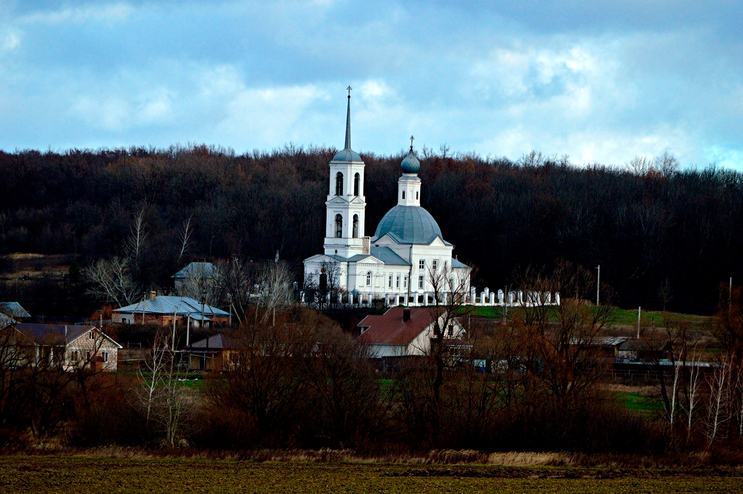 Липецкий район, прочие н.п., С. Архангельские Борки, Садовая улица, *