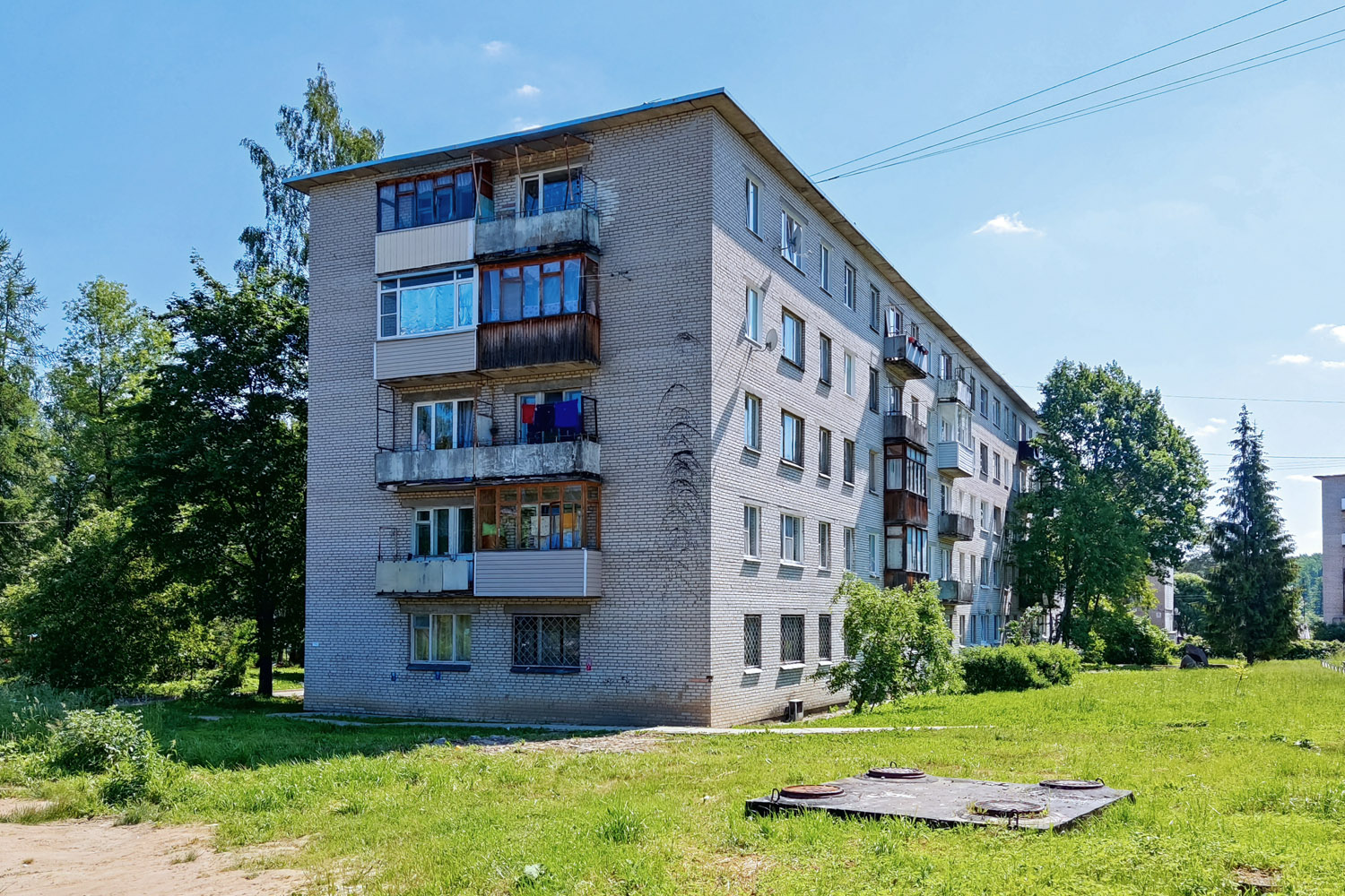 Тосненский район, прочие н. п., Новолисино, Заводская улица, 6