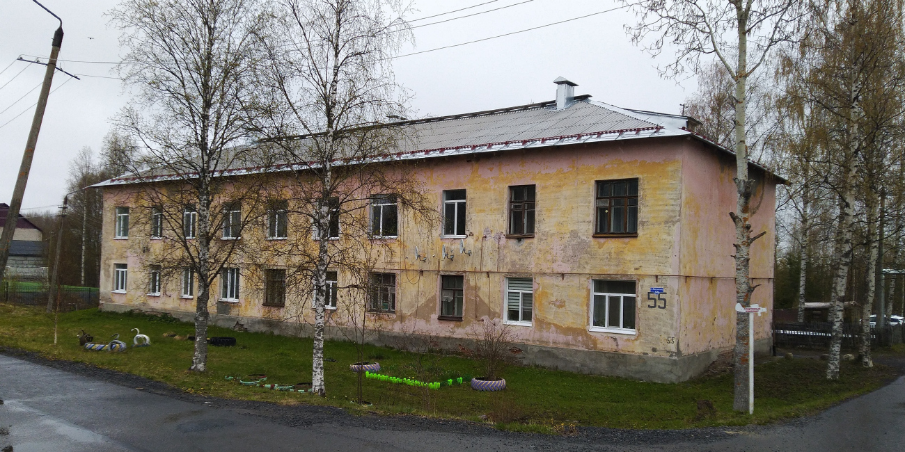 Приморский район, прочие н.п., пос. Васьково, 55