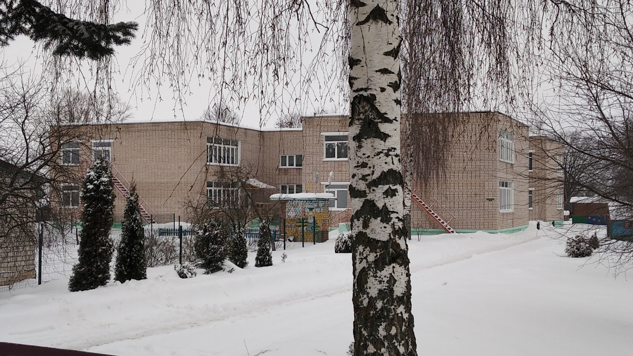Дубровно, Улица Никандровой, 9А