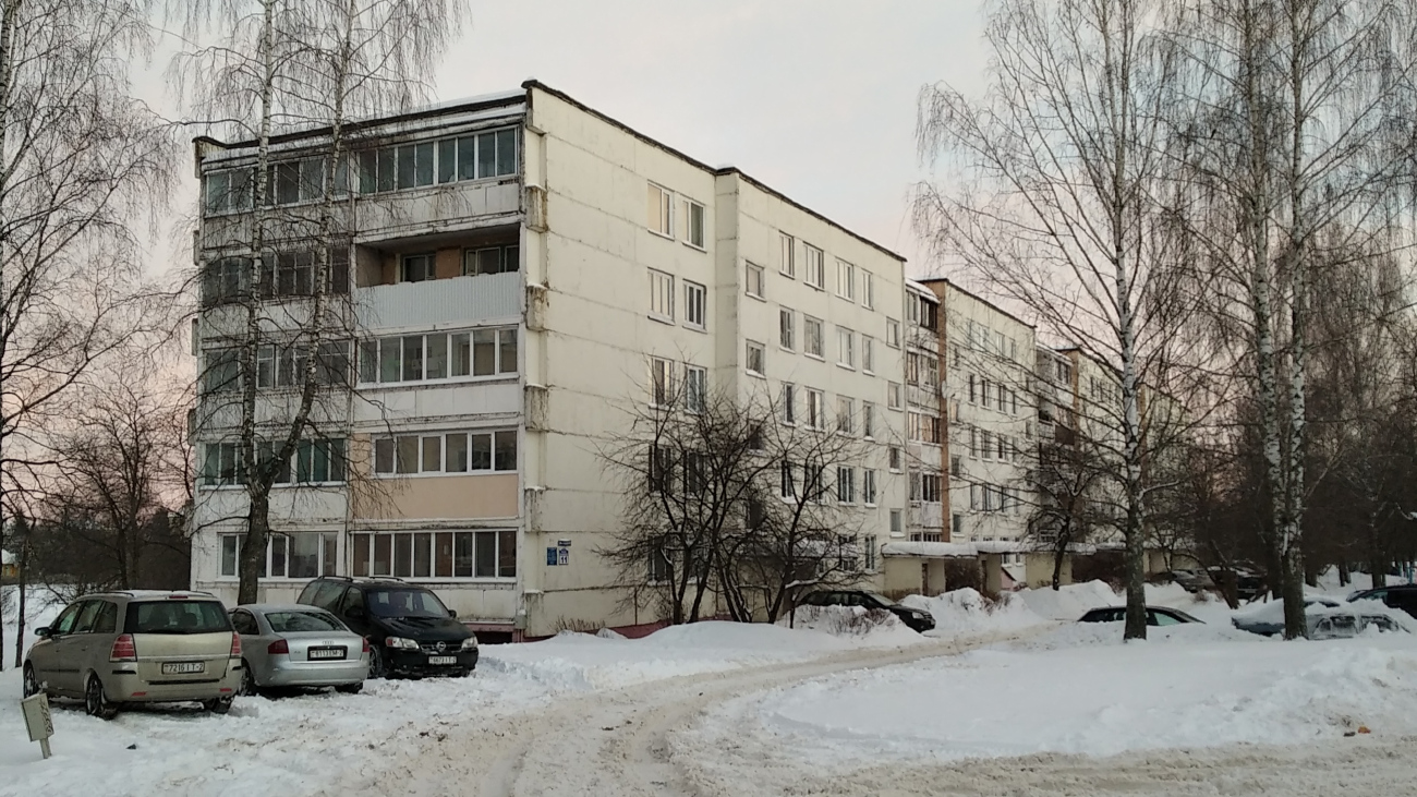Барань, Улица Николая Островского, 11