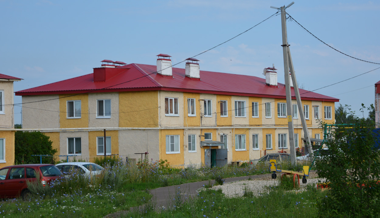 Laishevo, Улица Лебедевой, 44