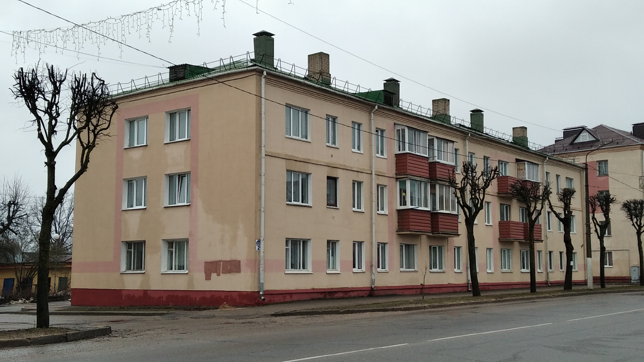 Орша, Улица Василия Молокова, 29