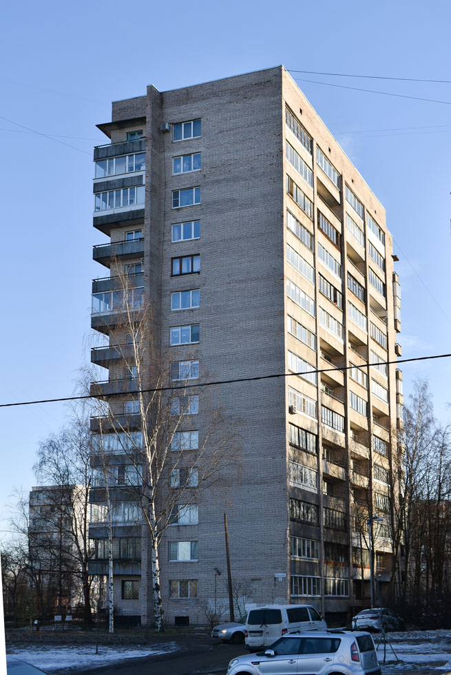Санкт-Петербург, Улица Вавиловых, 17 корп. 1