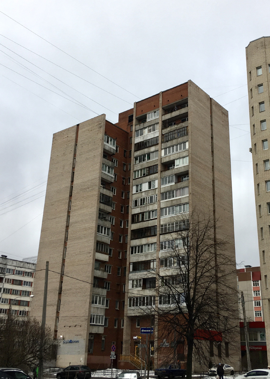 Санкт-Петербург, Аллея Поликарпова, 1