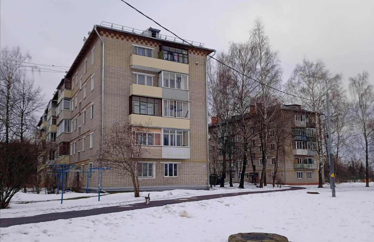 Поселение Рязановское, пос. Фабрики им. 1 мая, 49