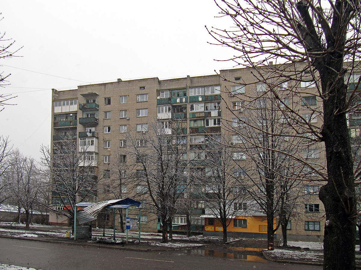 Попасная, Улица Мира, 155