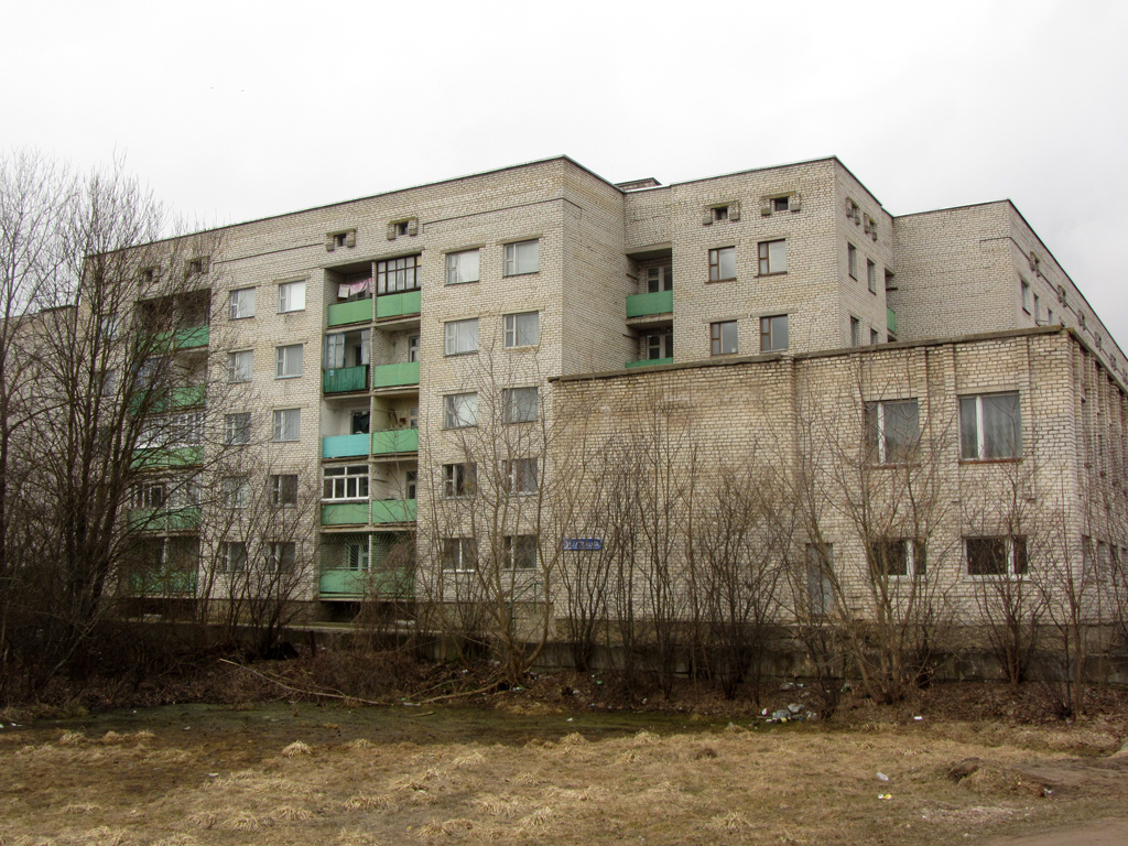 Новогрудок, Улица Волчецкого, 60