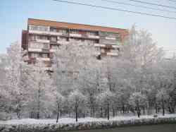 605 КБ