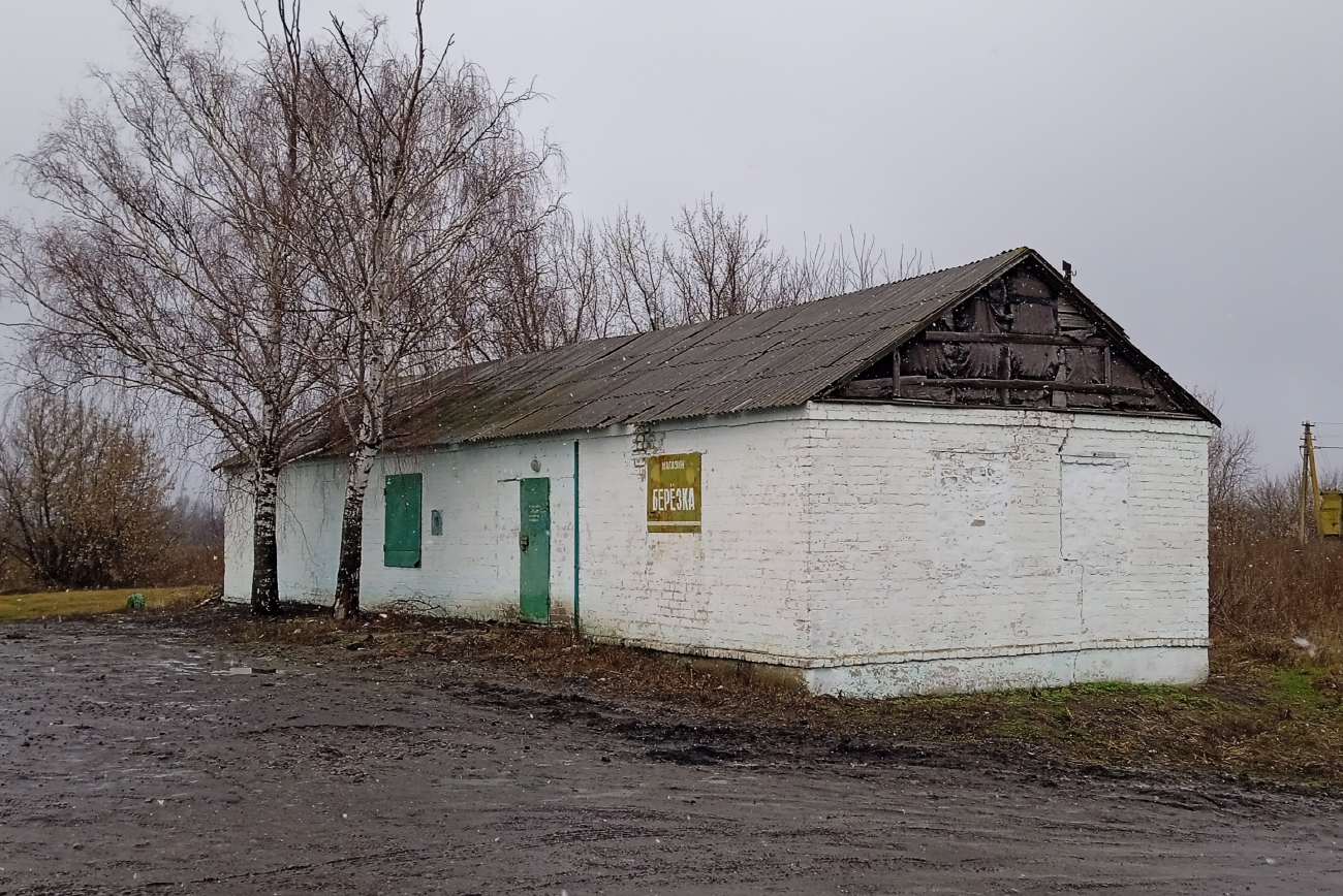 Панинский район, прочие н.п., с. Красные Холмы, Пролетарская улица, 19А