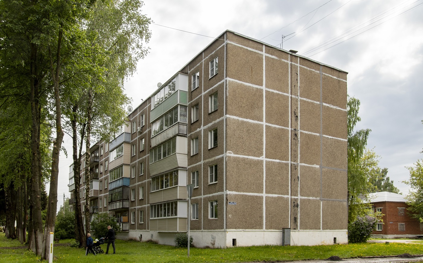 Городской округ Ступино, прочие н.п., дер. Дубнево, Улица Новые Дома, 8