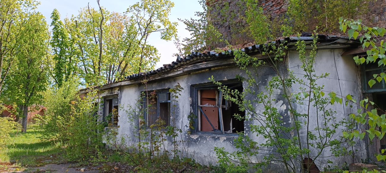 Минск, Красноармейская улица, 21*