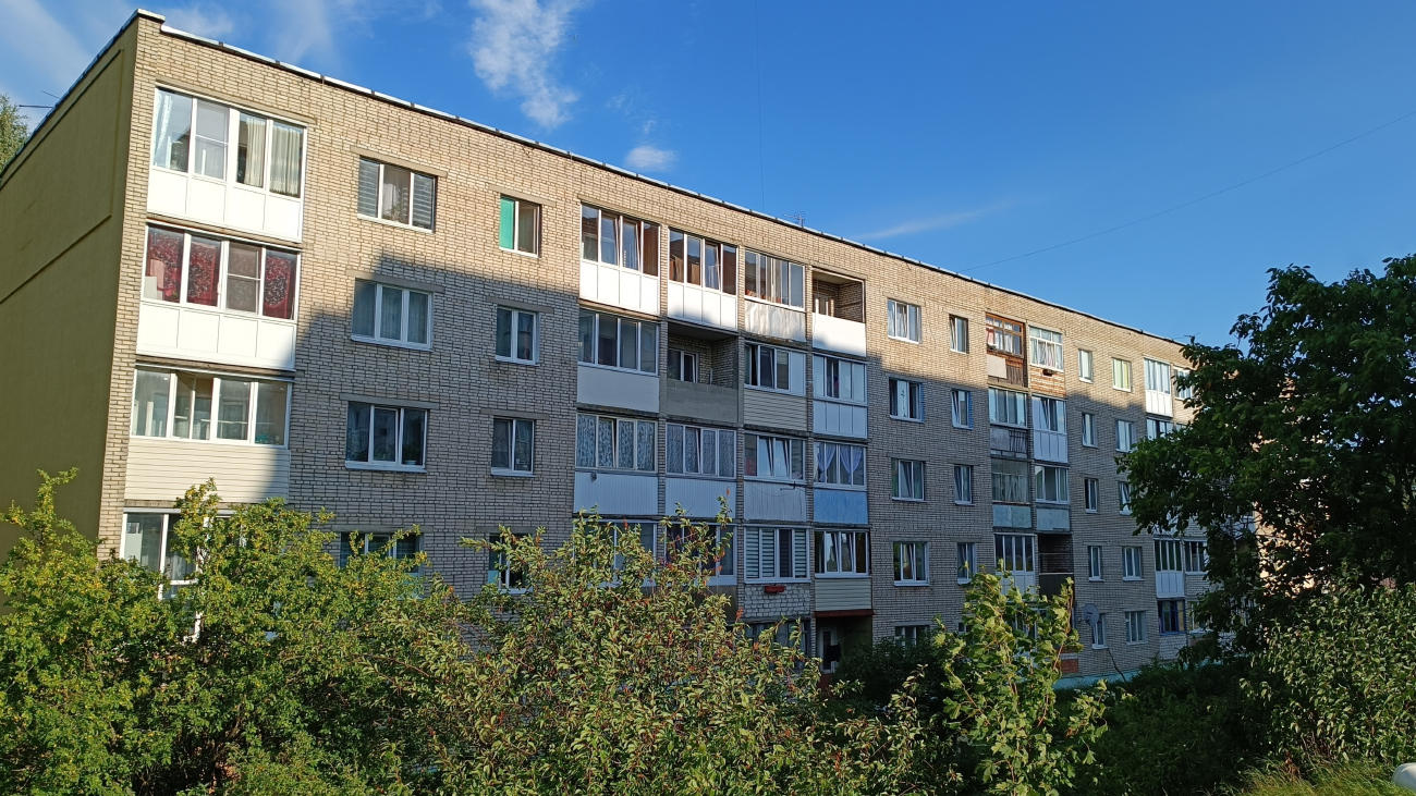 Гатово, Металлургическая улица, 6