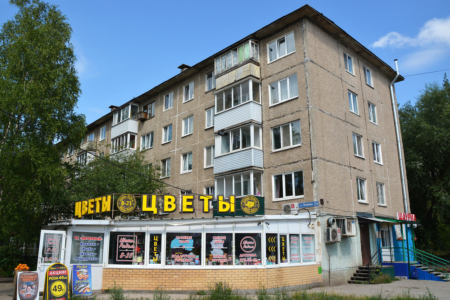 Пермь, Улица Космонавта Леонова, 51