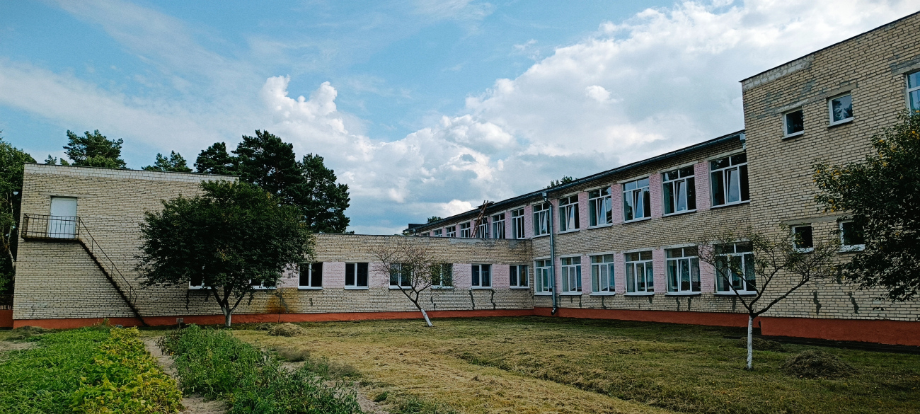 Семенча, Красноборская улица, 52*