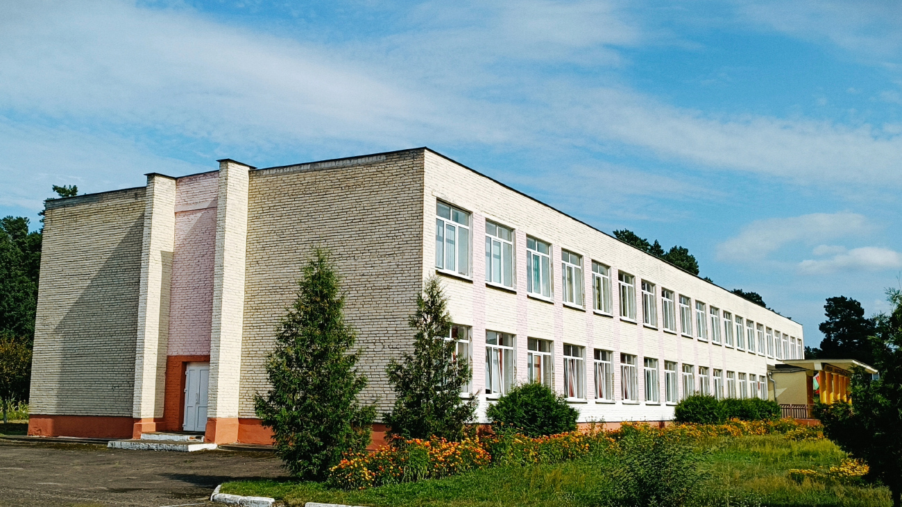 Семенча, Красноборская улица, 52*