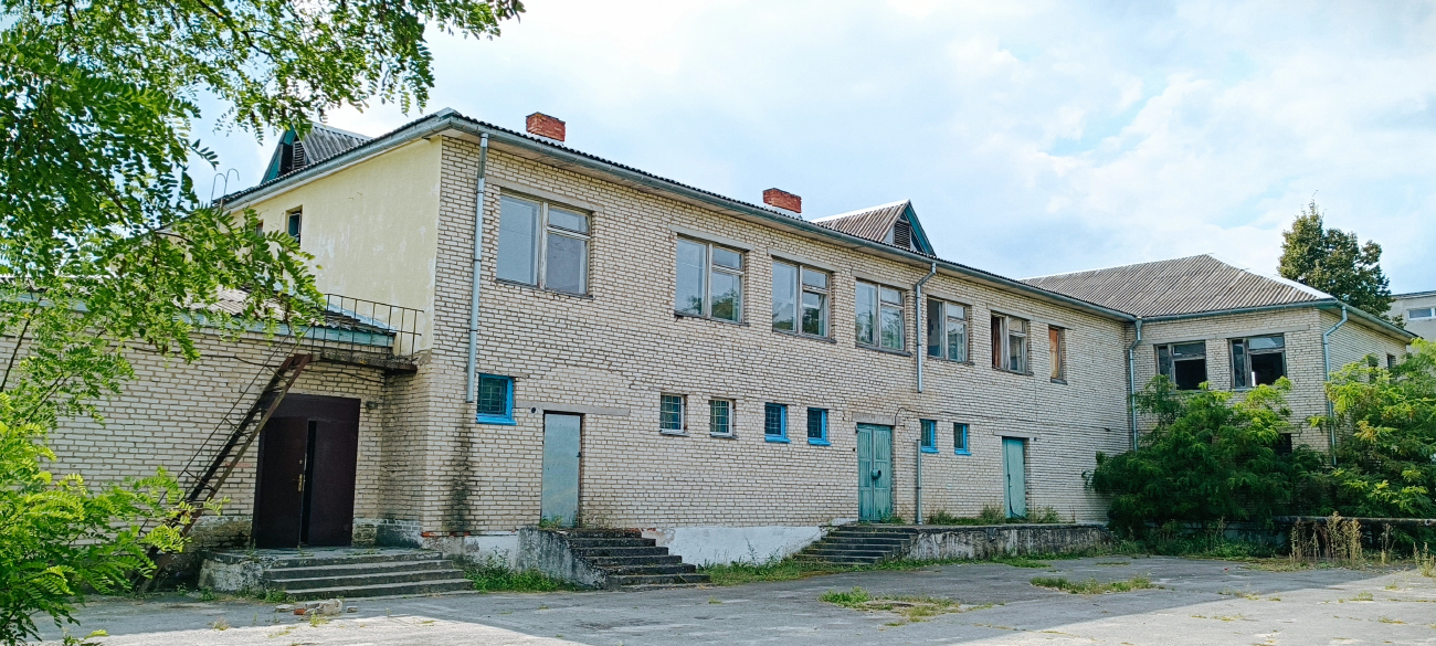 Семенча, Красноборская улица, 44