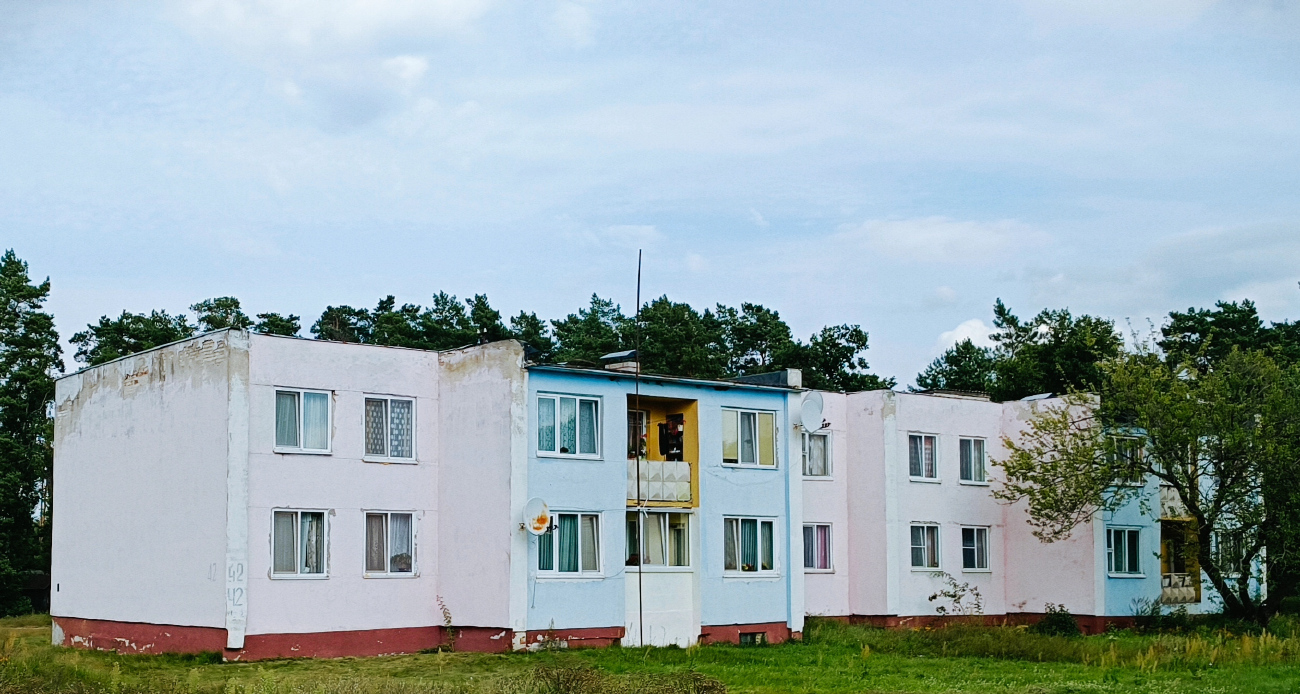 Семенча, Красноборская улица, 42