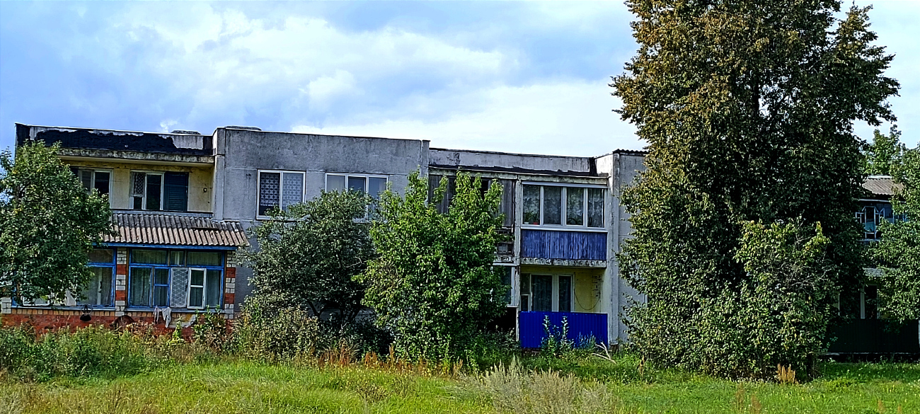 Семенча, Красноборская улица, 19