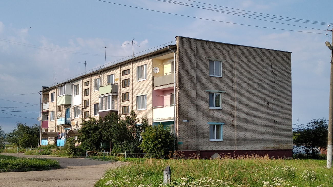 Дубровенский район, прочие н.п., Осиновка, улица Ялугина, 9