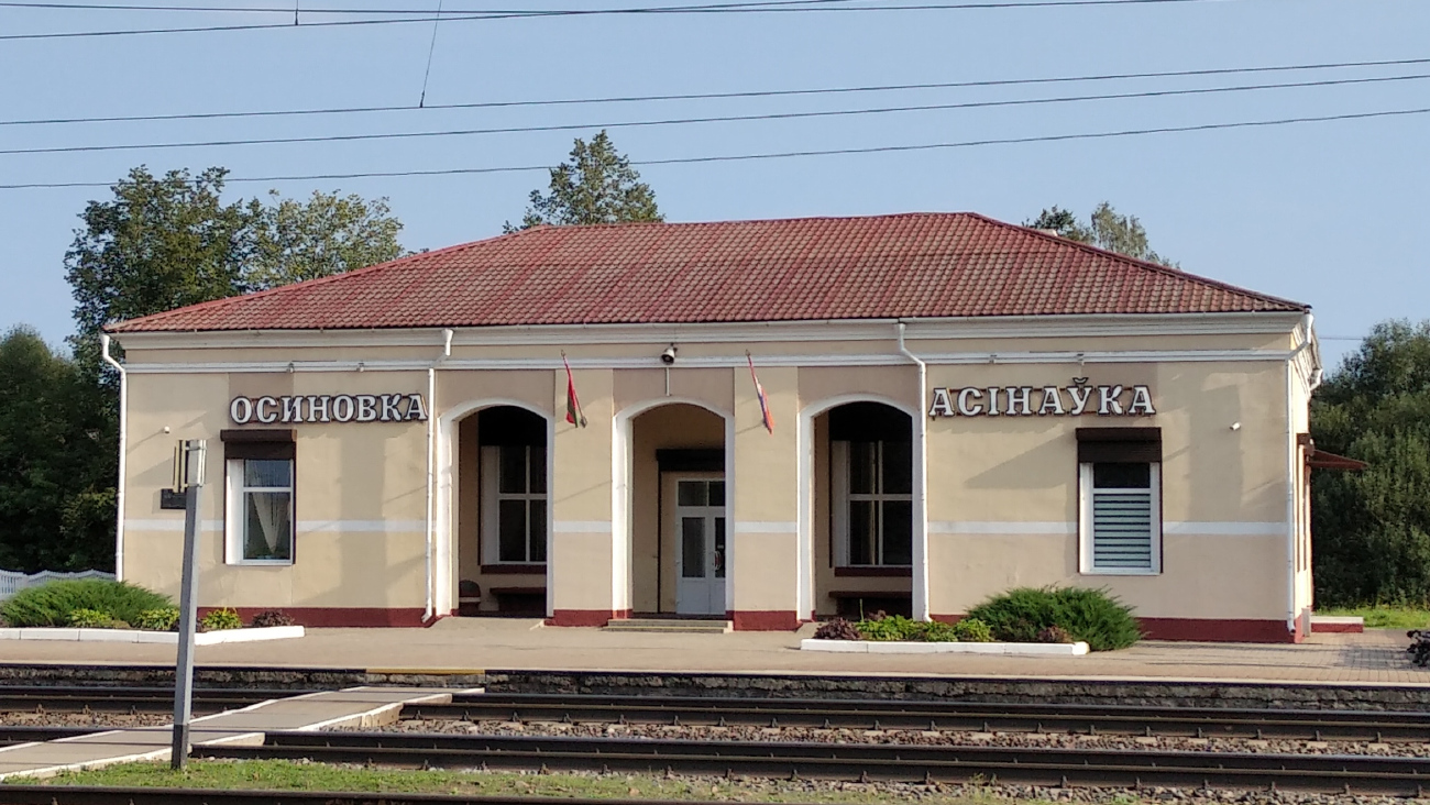 Дубровенский район, прочие н.п., Осиновка, Вокзальная улица, 10