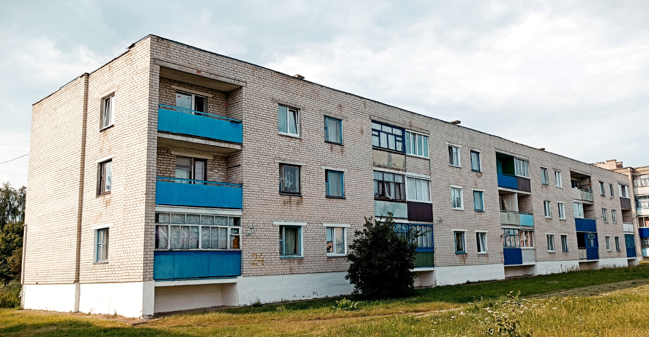 Chyrvonae, Поселковая улица, 24
