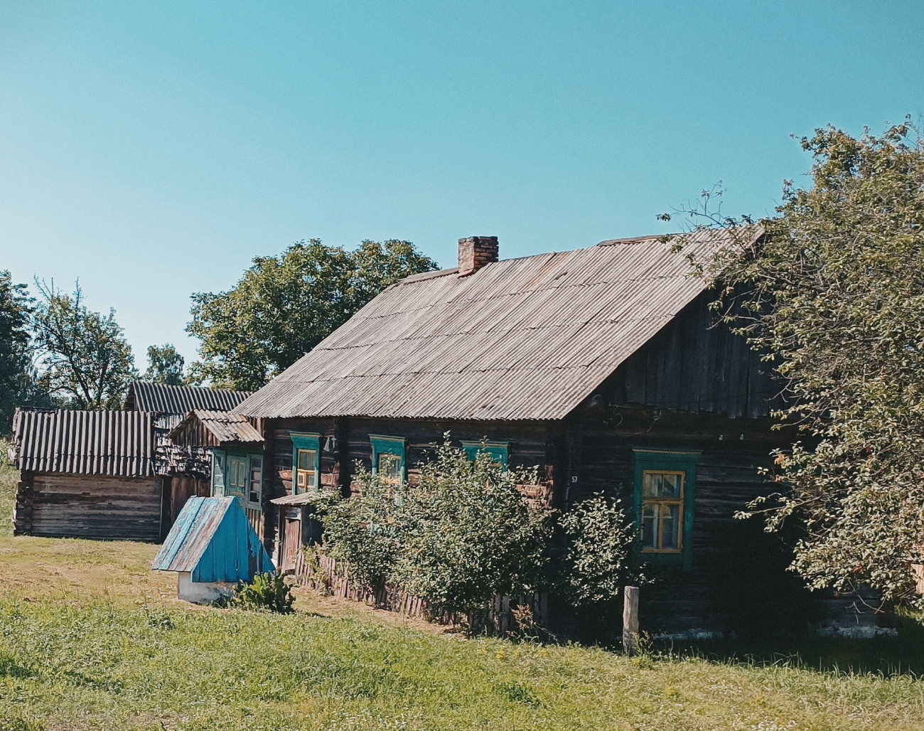 Житковичский район, прочие н.п., Боровая, Садовая улица, 57