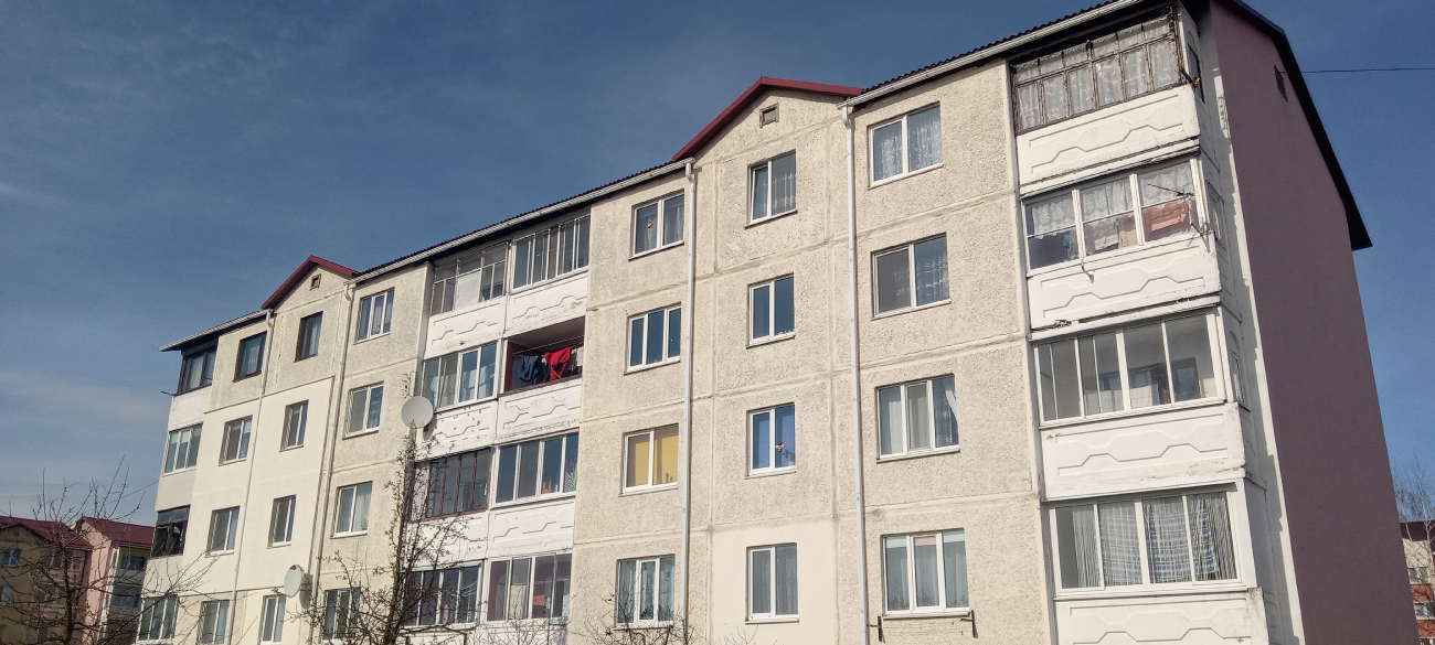 Несвиж, Ленинская улица, 169 корп. 2