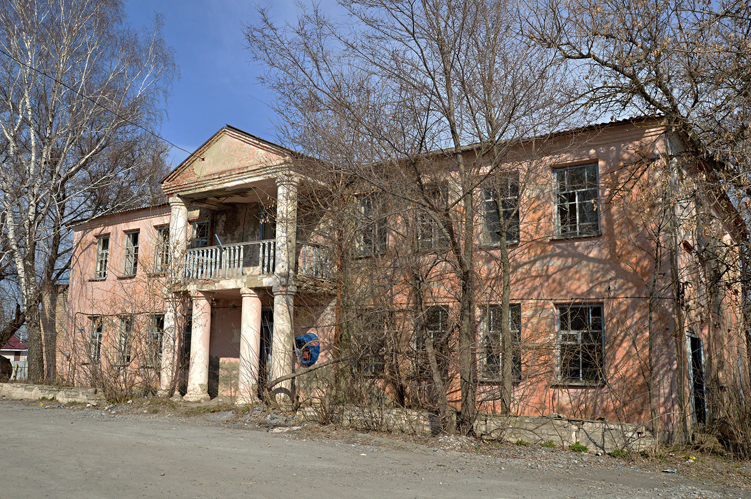 Нижнедевицкий район, прочие н.п., с. Першино, улица Меркулова, 1