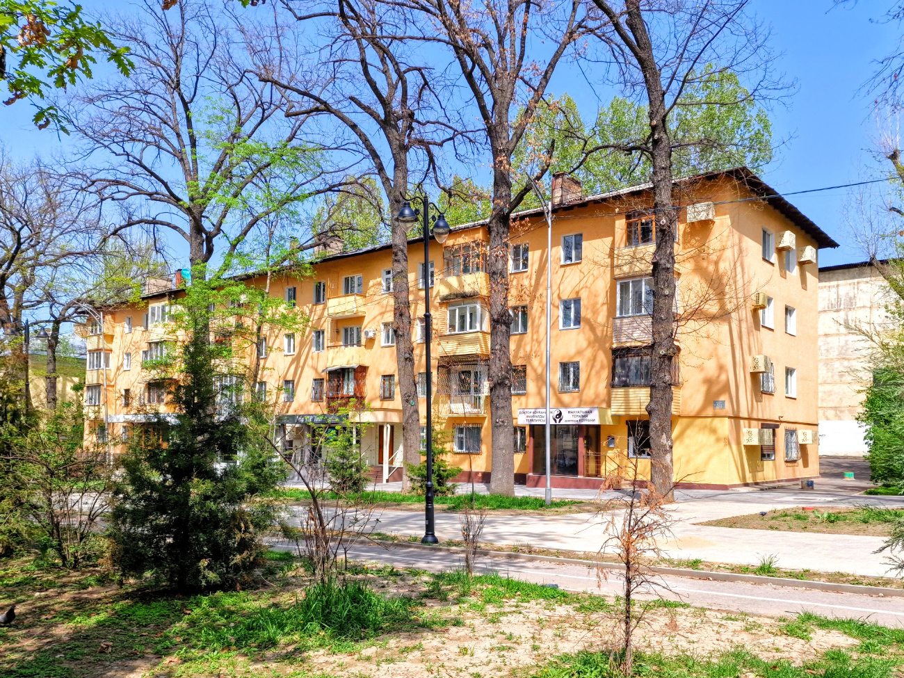 Алматы, Улица Куляш Байсеитовой, 36