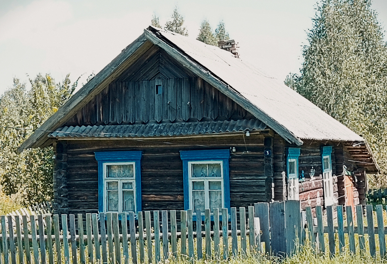 Житковичский район, прочие н.п., Гулевичи, Южная улица, 3