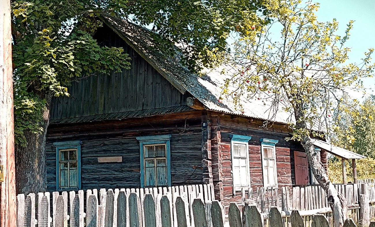 Житковичский район, прочие н.п., Гулевичи, Южная улица, 15