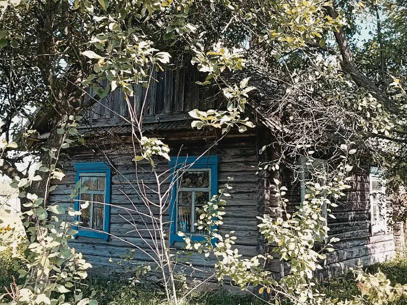 Житковичский район, прочие н.п., Гулевичи, Южная улица, 17