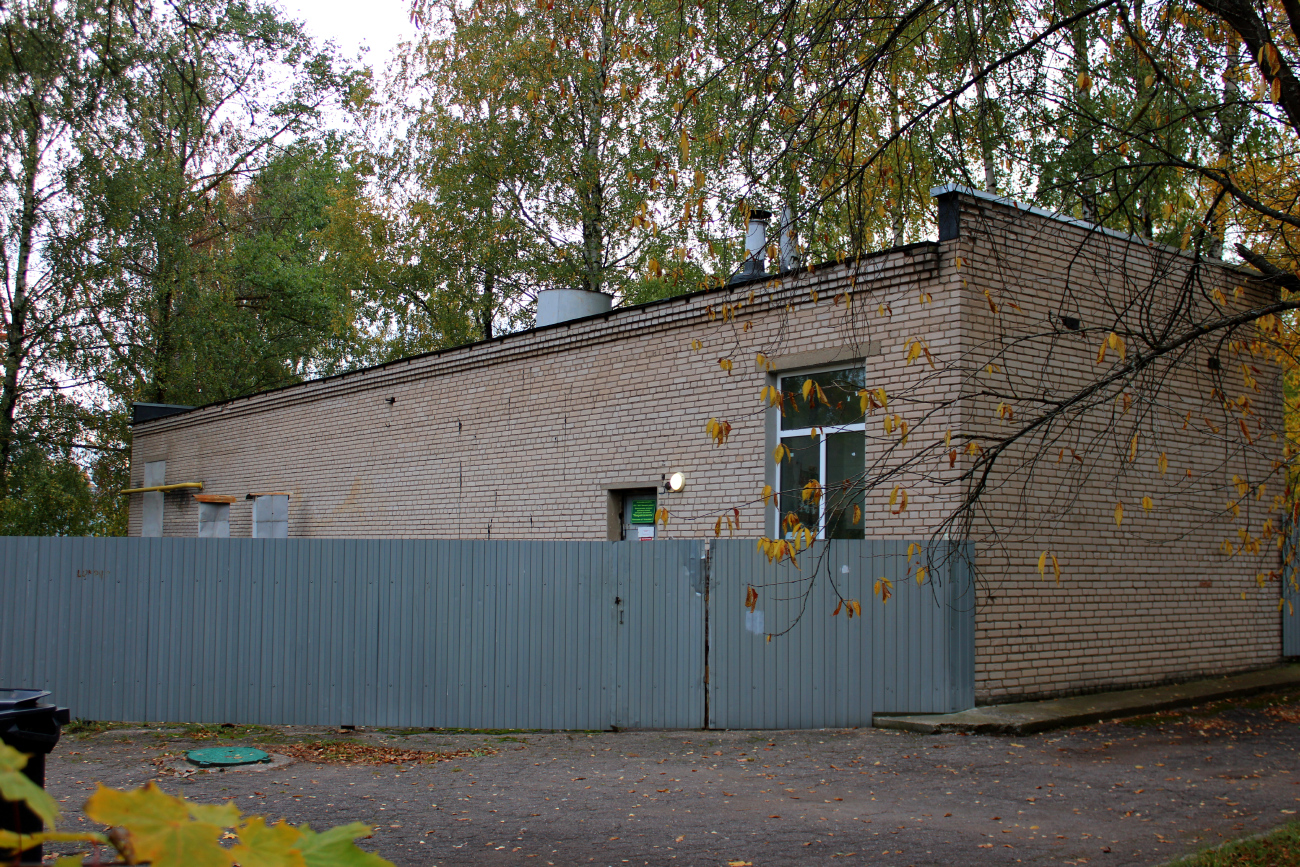Колодищи, Минская улица, 3*