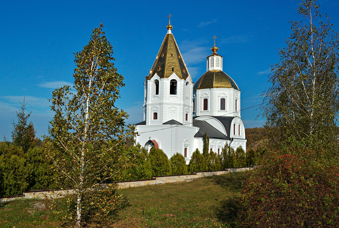 Семилукский район, прочие н.п., с. Терновое, Терновская улица, 2Б