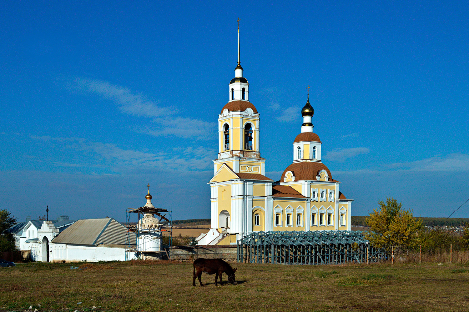 Семилукский район, прочие н.п., С. Богоявленка, Прудная улица, 65