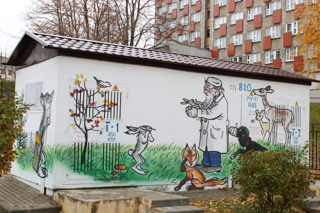 Минск, Улица Ольшевского, 29А*