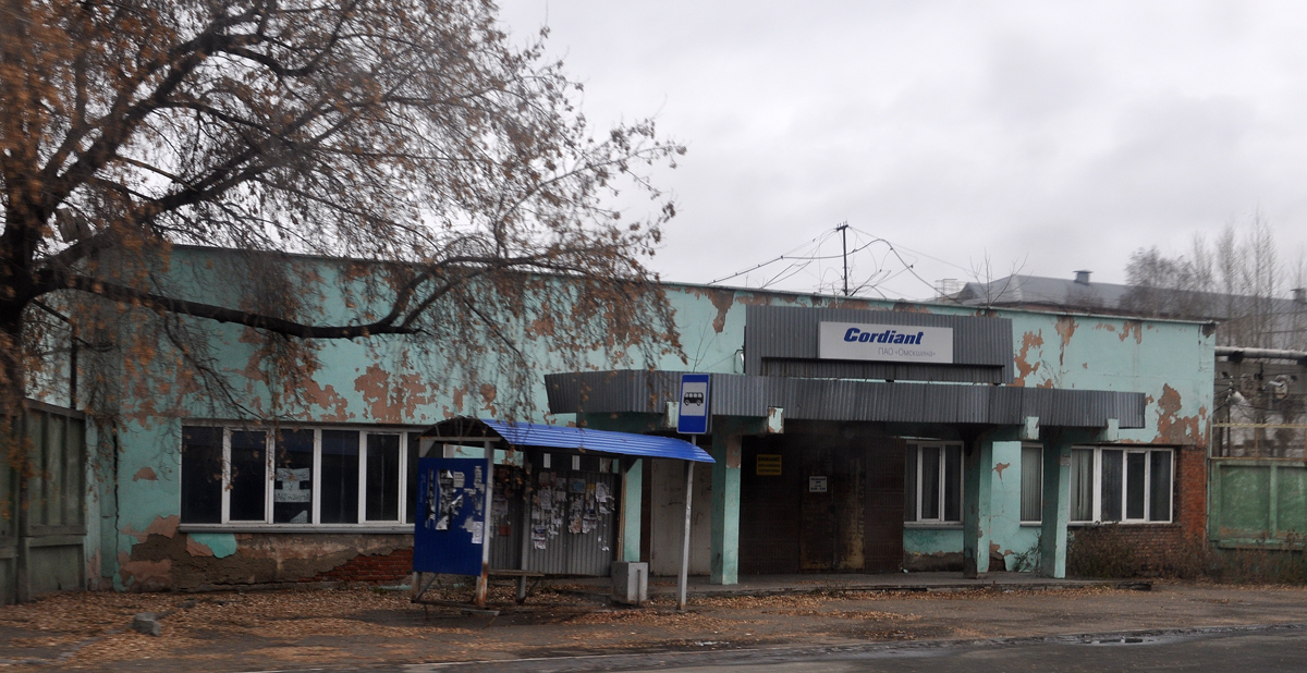 Омск, 6-я Шинная улица, 4