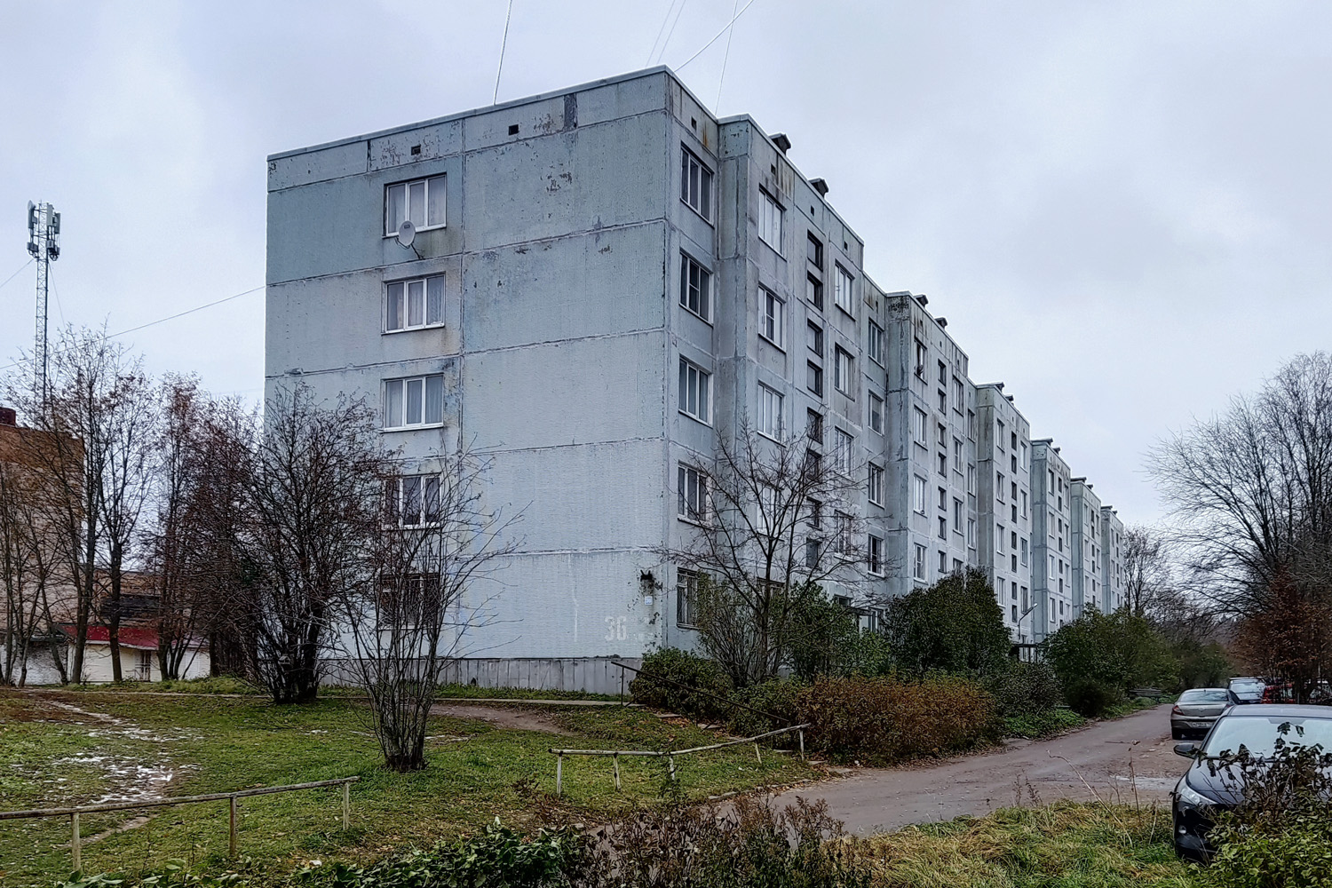 Выборгский район, прочие н. п., Красная Долина, 36