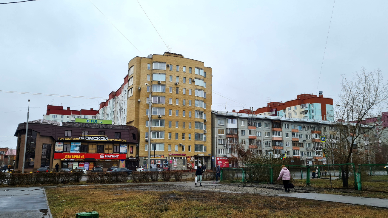 Омск, Омская улица, 107; Омская улица, 111