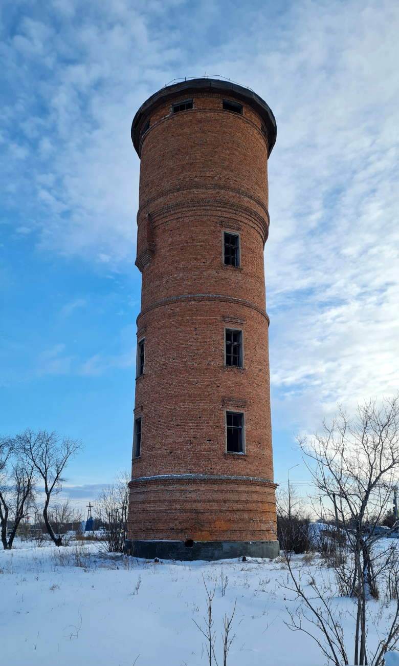 Омск, Микрорайон Входной, 28*