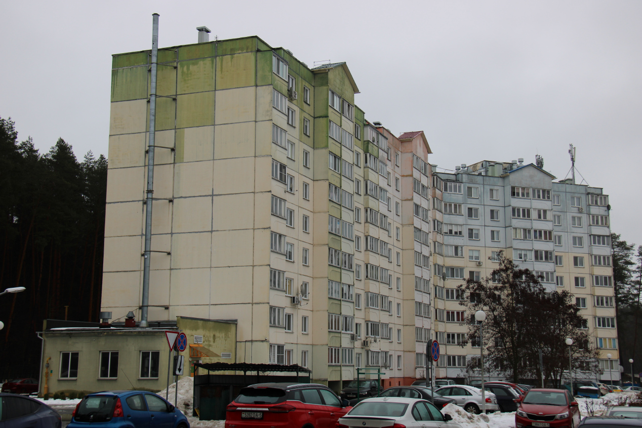 Минский район, прочие н. п., Боровая, Спортивная улица, 1